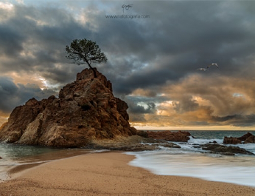 Semana 28 – Tossa de Mar